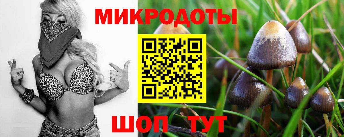 Галлюциногенные грибы мухоморы Зима